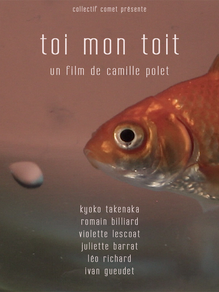 Toi mon toit